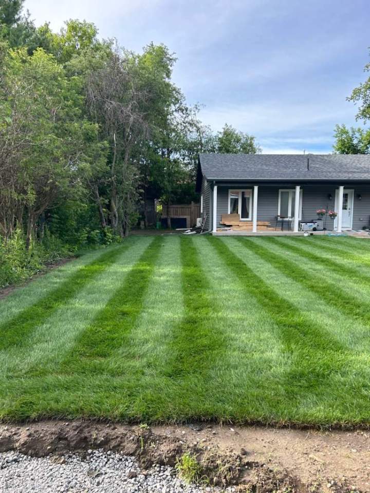 Courtice patio and sod job
